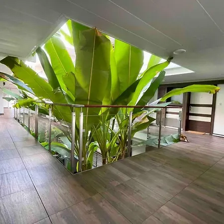 Superbe Appartement, Piscine, Vue Mer Et Montagnes Antibes